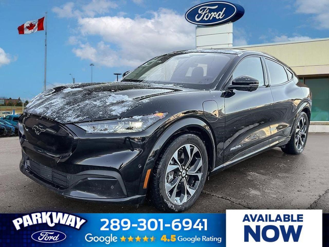 2021 Ford Mustang Mach-E Premium   EXT BATTERY   AWD   GLASS ROOF EXT BATTE Photo0