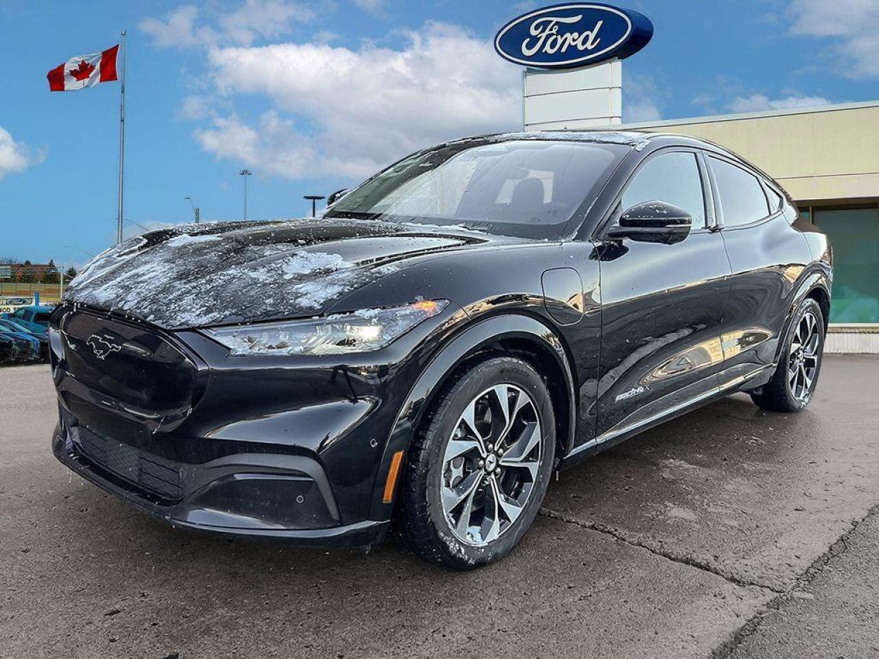 2021 Ford Mustang Mach-E Premium   EXT BATTERY   AWD   GLASS ROOF EXT BATTE Photo