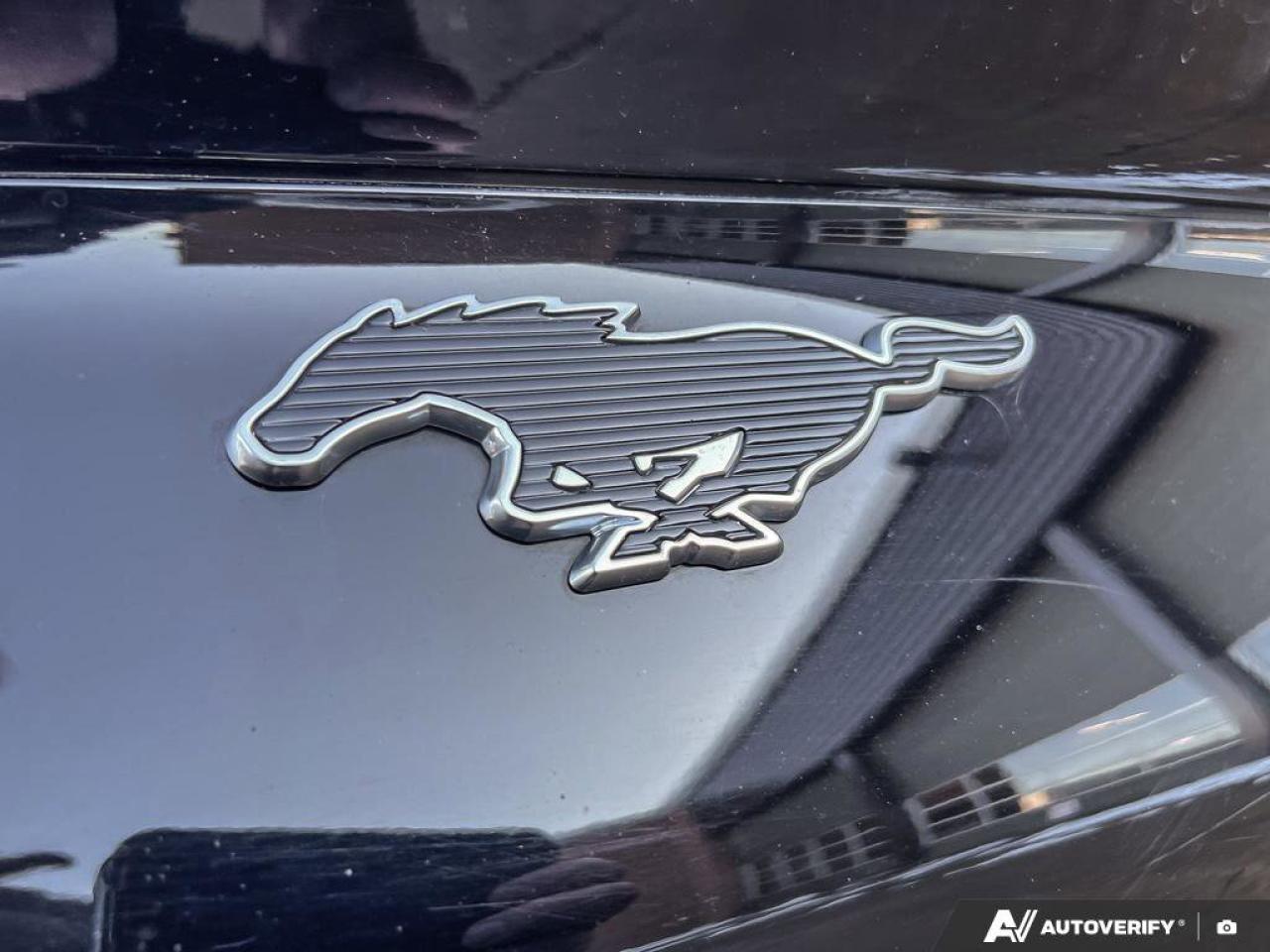 2021 Ford Mustang Mach-E Premium   EXT BATTERY   AWD   GLASS ROOF EXT BATTE Photo