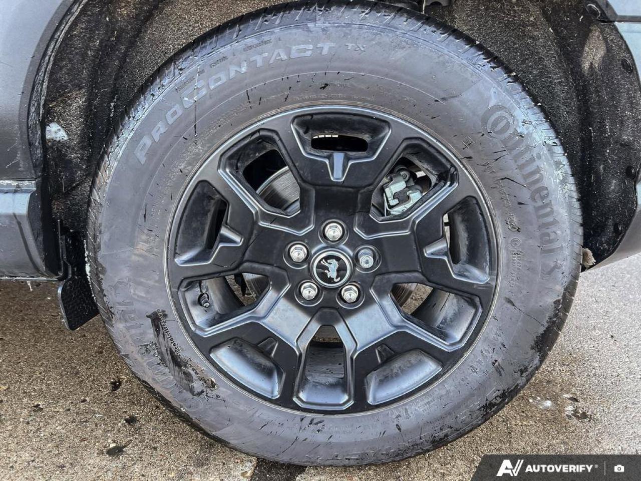 2024 Ford Bronco Sport Big Bend   ONE OWNER   LOW KMS   TOW PKG ONE OWNER Photo