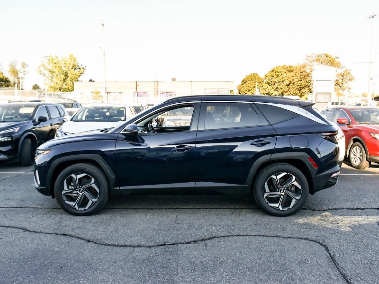 2023 Hyundai Tucson Hybrid Luxury AWD Hybrid-Leather  Roof  Navi Photo