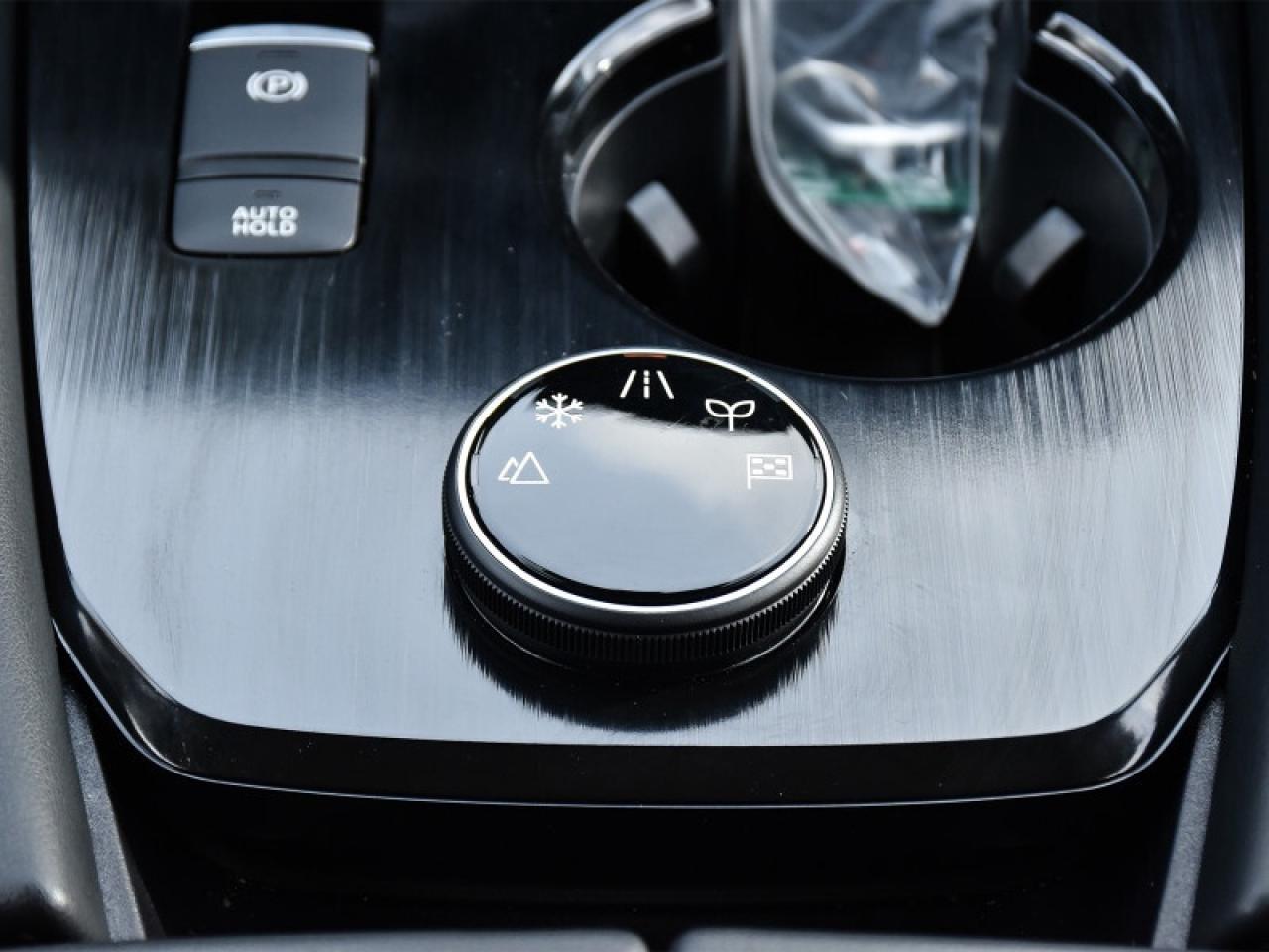 2025 Nissan Rogue Platinum  Leather   Panoroof   Nav   360 Cam   Ada Photo