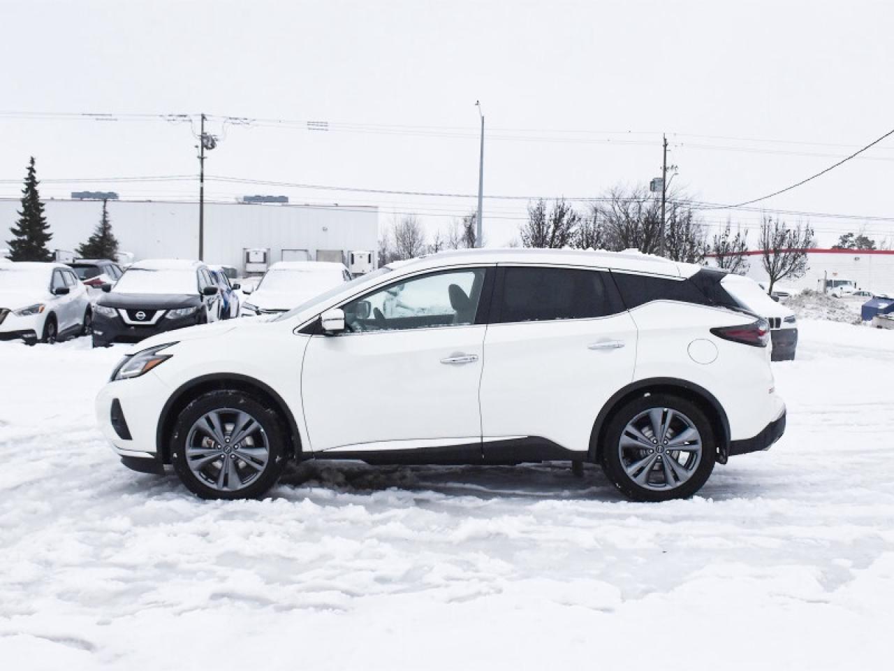 2023 Nissan Murano Platinum   Leather   Pano Roof   Nav   Heated & Co Photo2