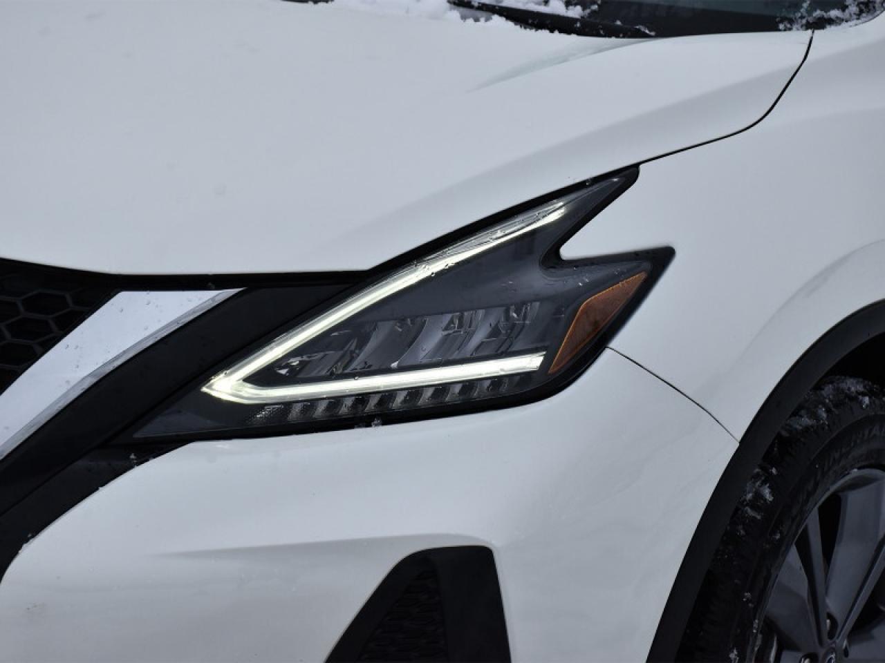 2023 Nissan Murano Platinum   Leather   Pano Roof   Nav   Heated & Co Photo