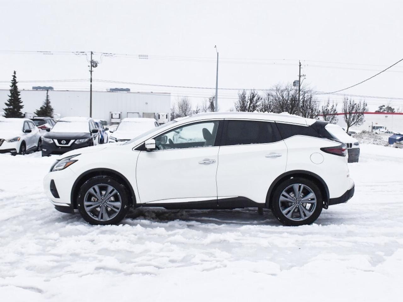 2023 Nissan Murano Platinum   Leather   Pano Roof   Nav   Heated & Co Photo