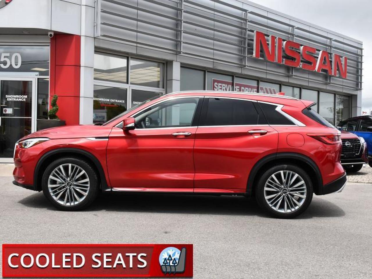 2024 Infiniti QX50 Sensory AWD-Pano Roof  Leather  Navi! Photo