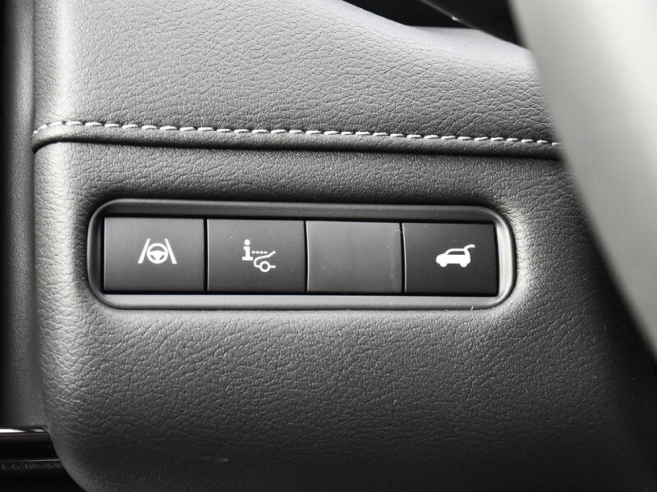 2025 Nissan Armada Platinum Reserve   Leather   Sunroof   HUD   Massa Photo