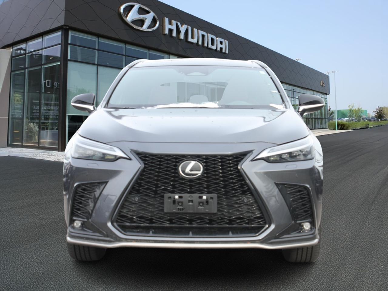 2023 Lexus NX NX 350 F-Sport AWD / Leather / Nav / Premium Audio Photo