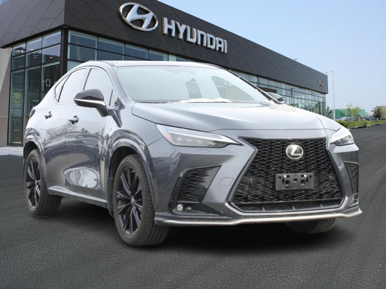 2023 Lexus NX NX 350 F-Sport AWD / Leather / Nav / Premium Audio Photo2