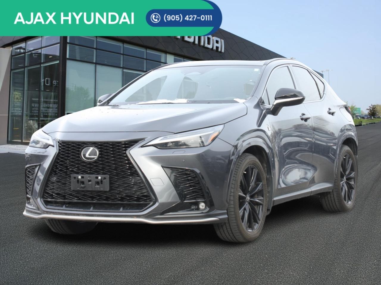2023 Lexus NX NX 350 F-Sport AWD / Leather / Nav / Premium Audio Photo