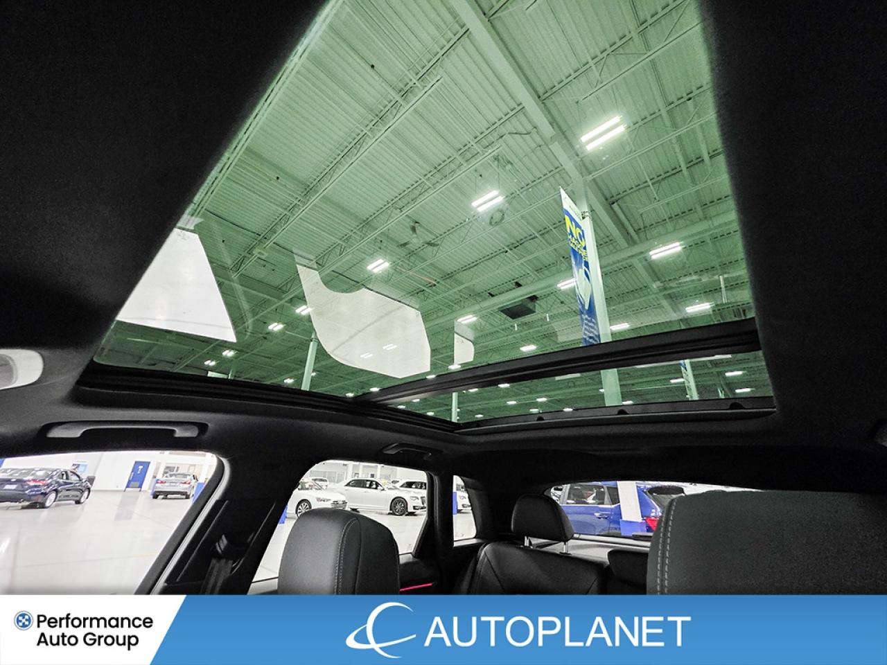 2024 Audi Q3 45 Progressiv Quattro -FIN.@$99/WK  LEASE @$117/WK Photo