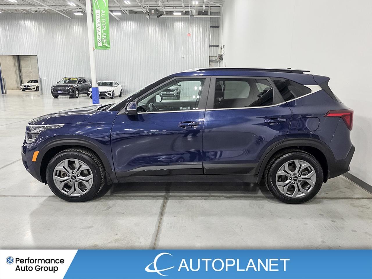 2024 Kia Seltos EX AWD - FINANCE @$80/WK OR LEASE @$96/WK Photo