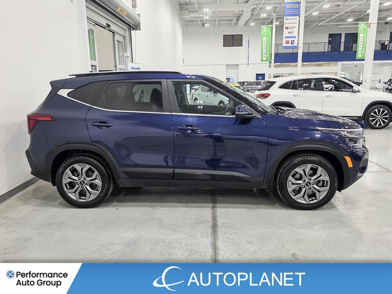 2024 Kia Seltos EX AWD - FINANCE @$77/WK OR LEASE @$96/WK Photo