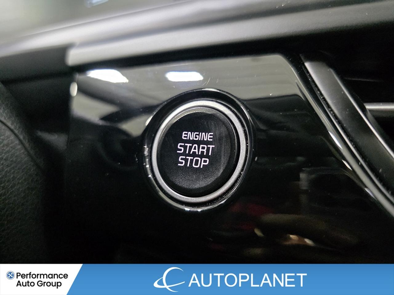 2024 Kia Seltos EX AWD - FINANCE @$77/WK OR LEASE @$96/WK Photo