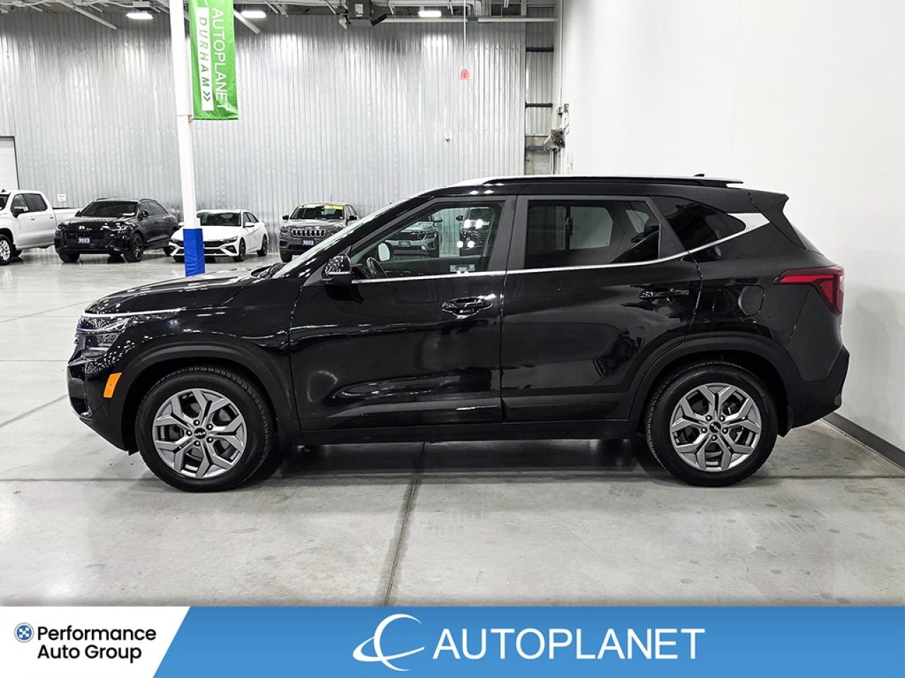 2024 Kia Seltos EX AWD - FINANCE @$79/WK OR LEASE @$94/WK Photo