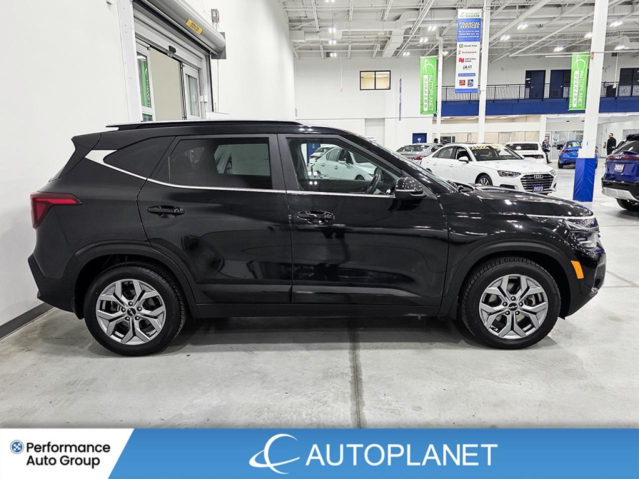 2024 Kia Seltos EX AWD - FINANCE @$79/WK OR LEASE @$94/WK Photo