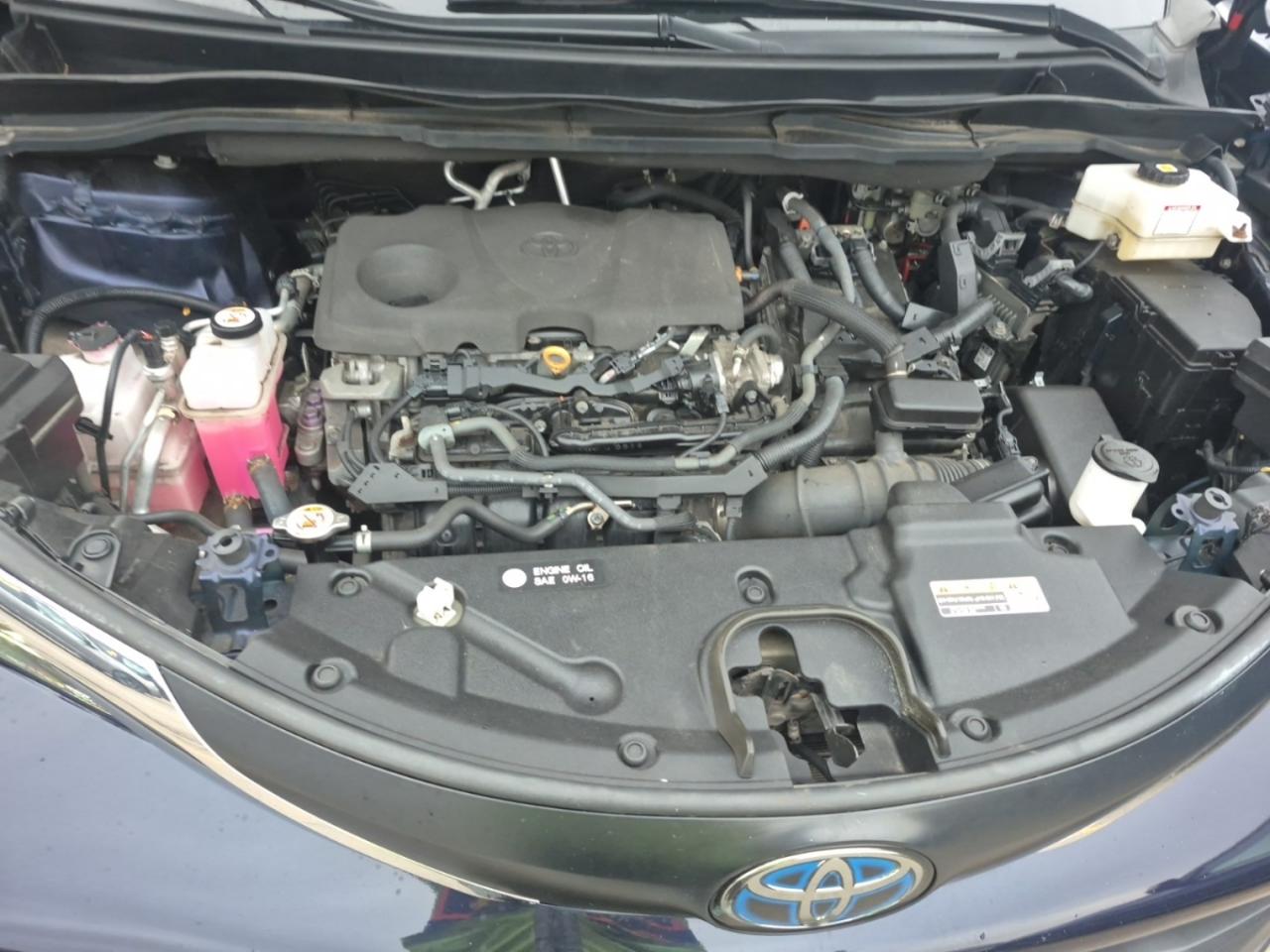 2022 Toyota Sienna LE 8-Passenger FWD Photo