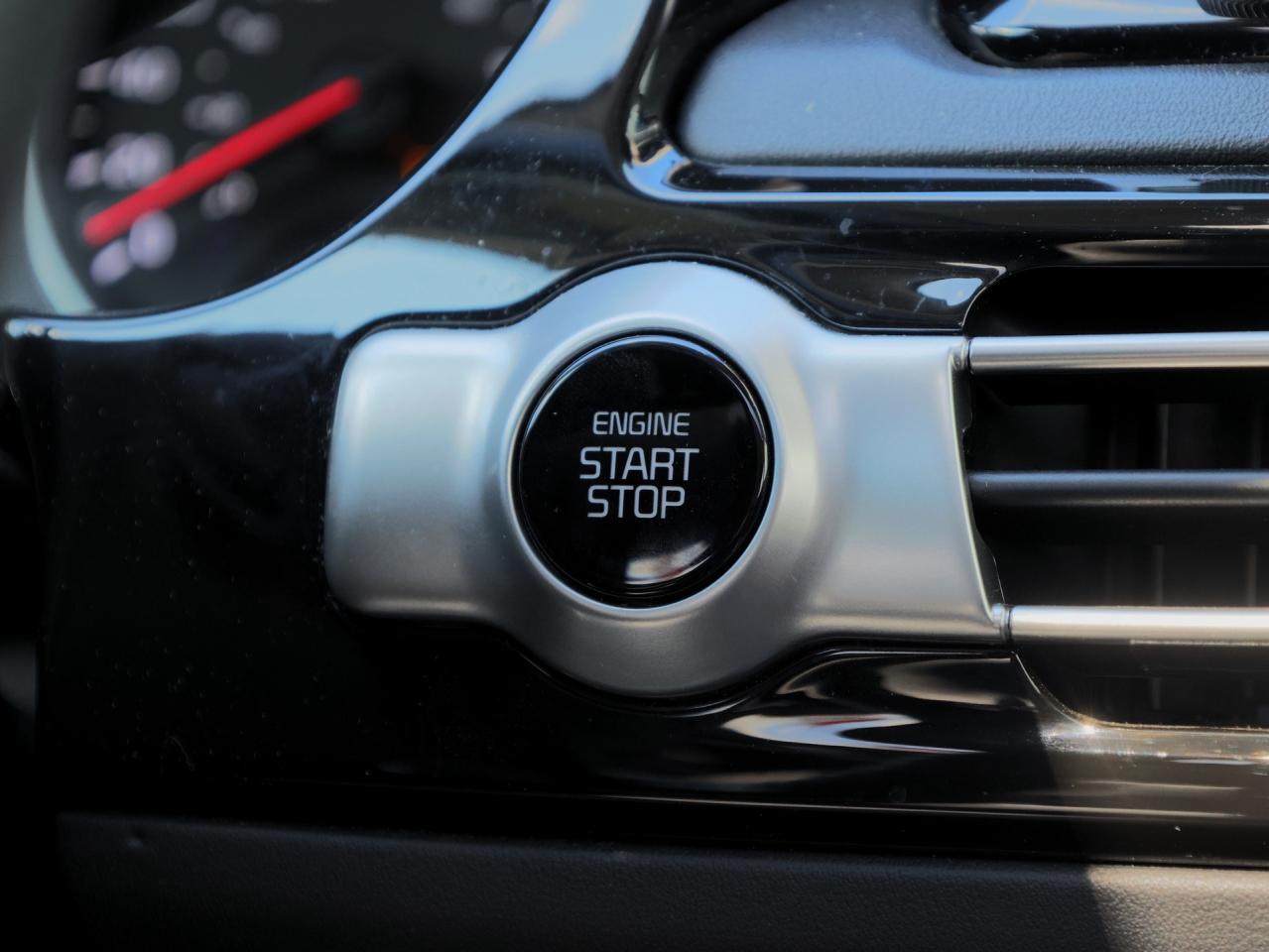 2023 Kia Seltos SX AWD   HUD   Premium Sound   Navigation Photo