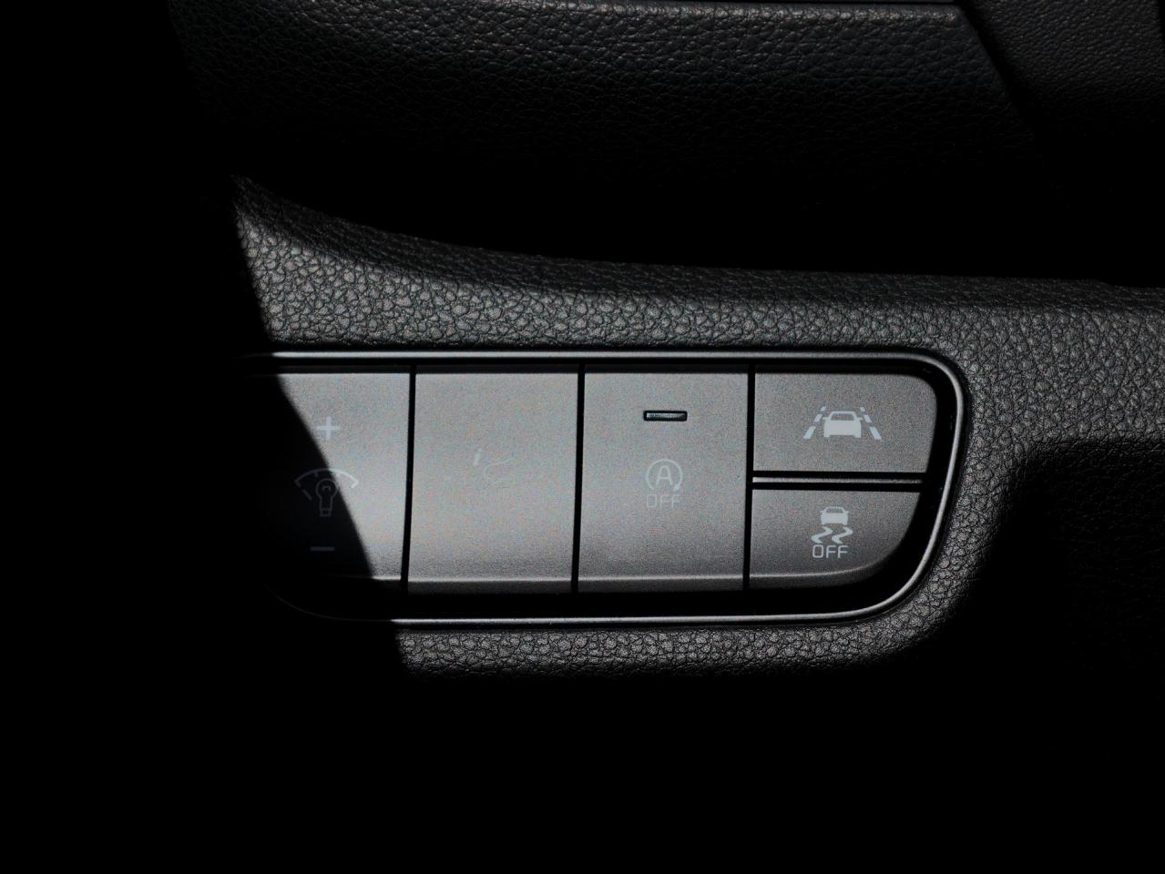 2023 Kia Seltos SX AWD   HUD   Premium Sound   Navigation Photo