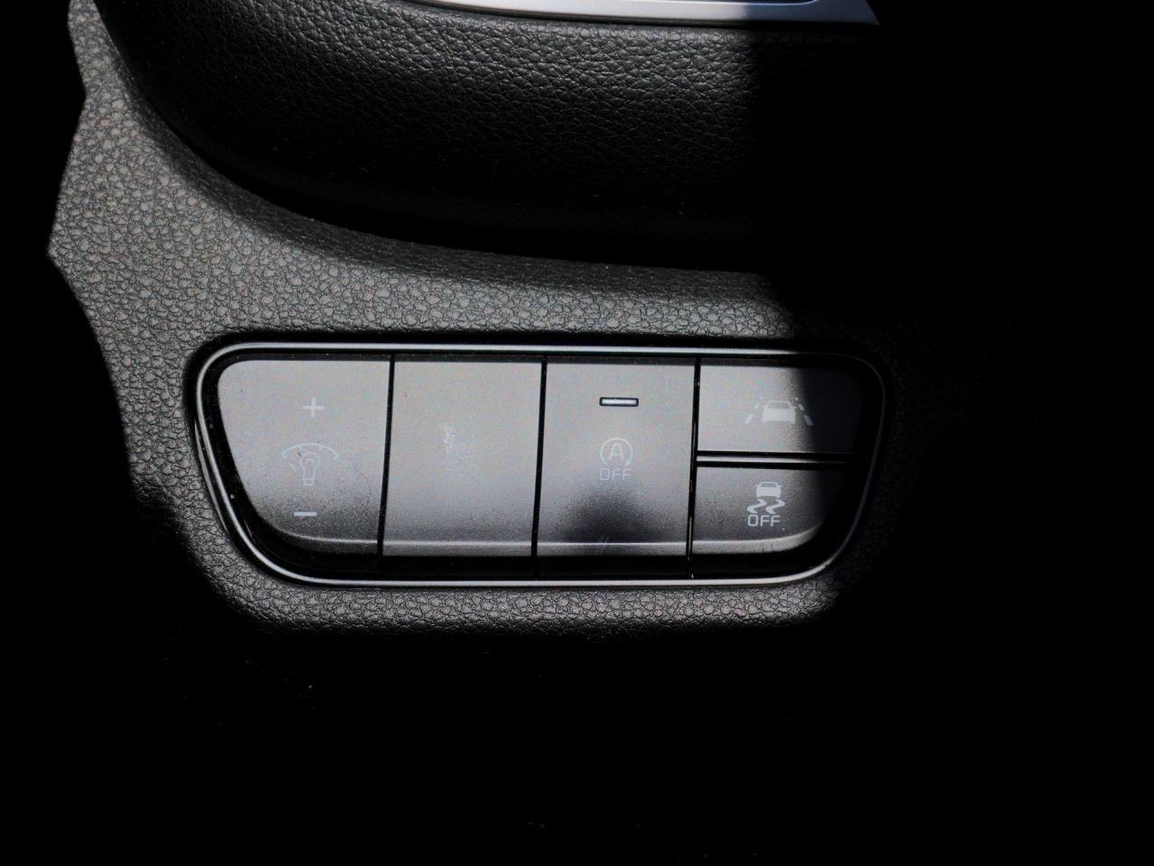 2023 Kia Seltos SX AWD   HUD   Bose Sound   Ventilated Seat Photo