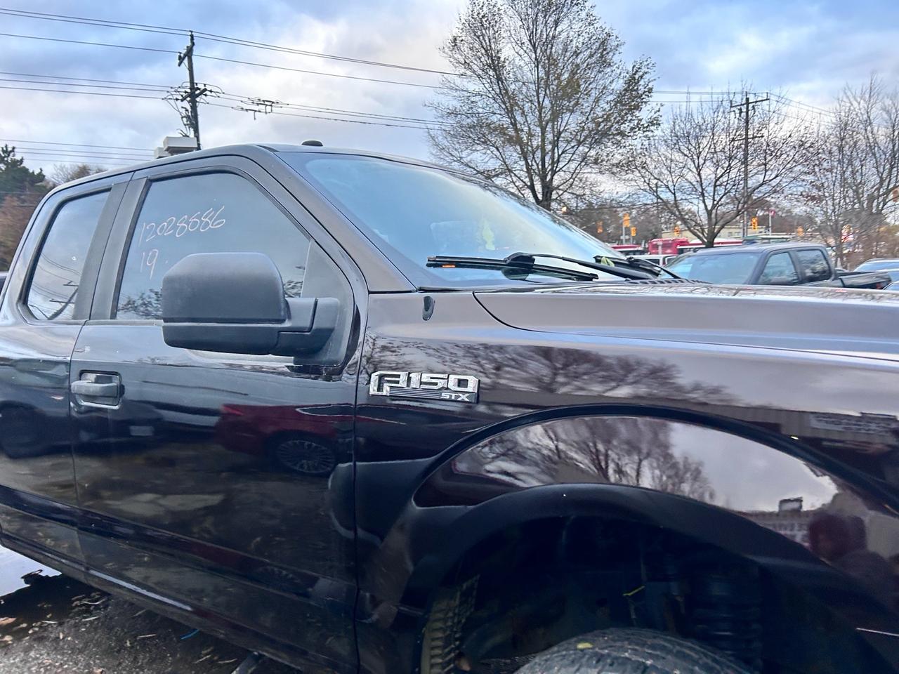 2019 Ford F-150 XL 4WD SUPERCAB 6.5' BOX Photo3