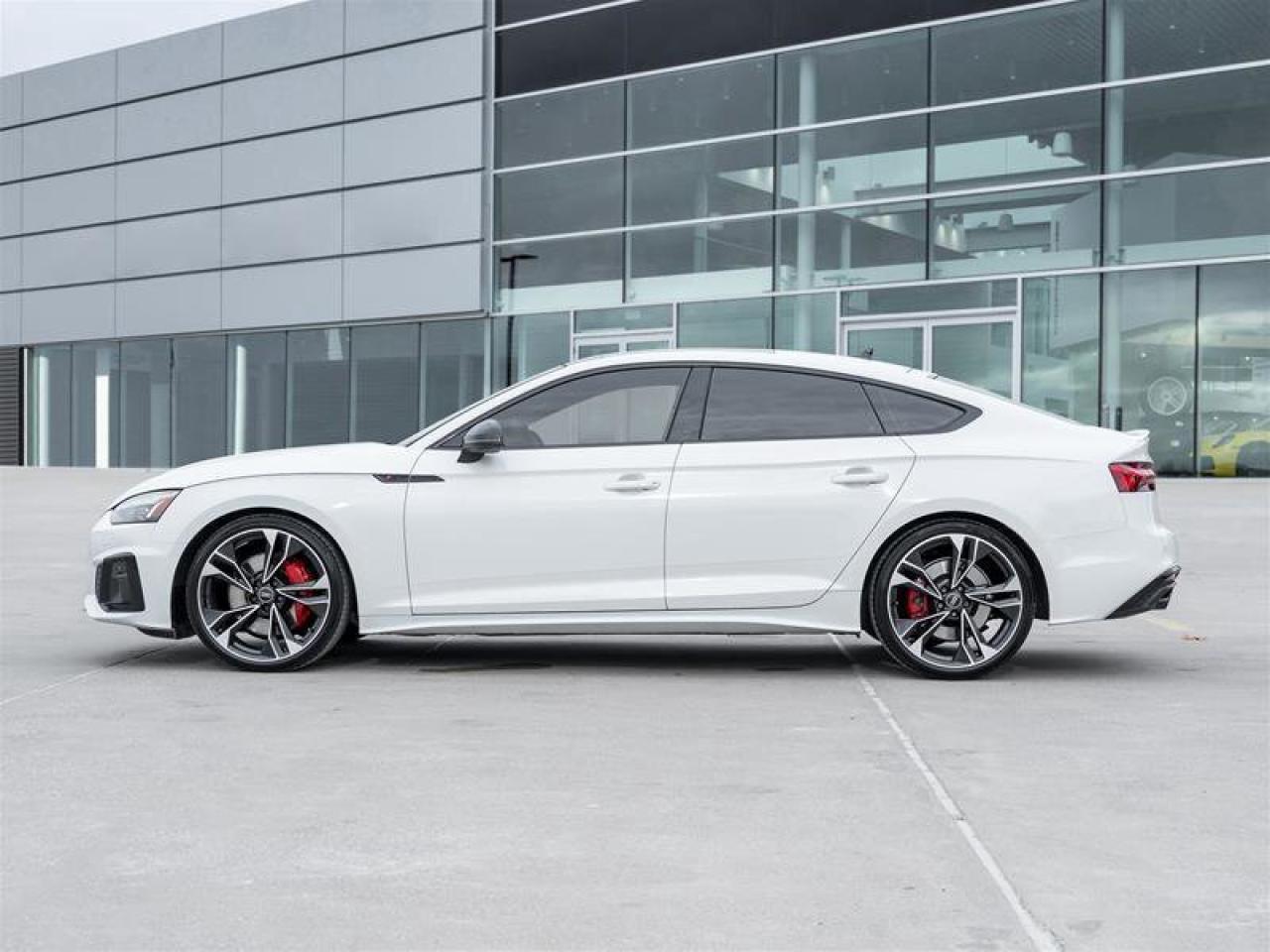 2023 Audi S5 Sportback Technik 3.0 TFSI Quattro Black Pkg Competition Red Photo