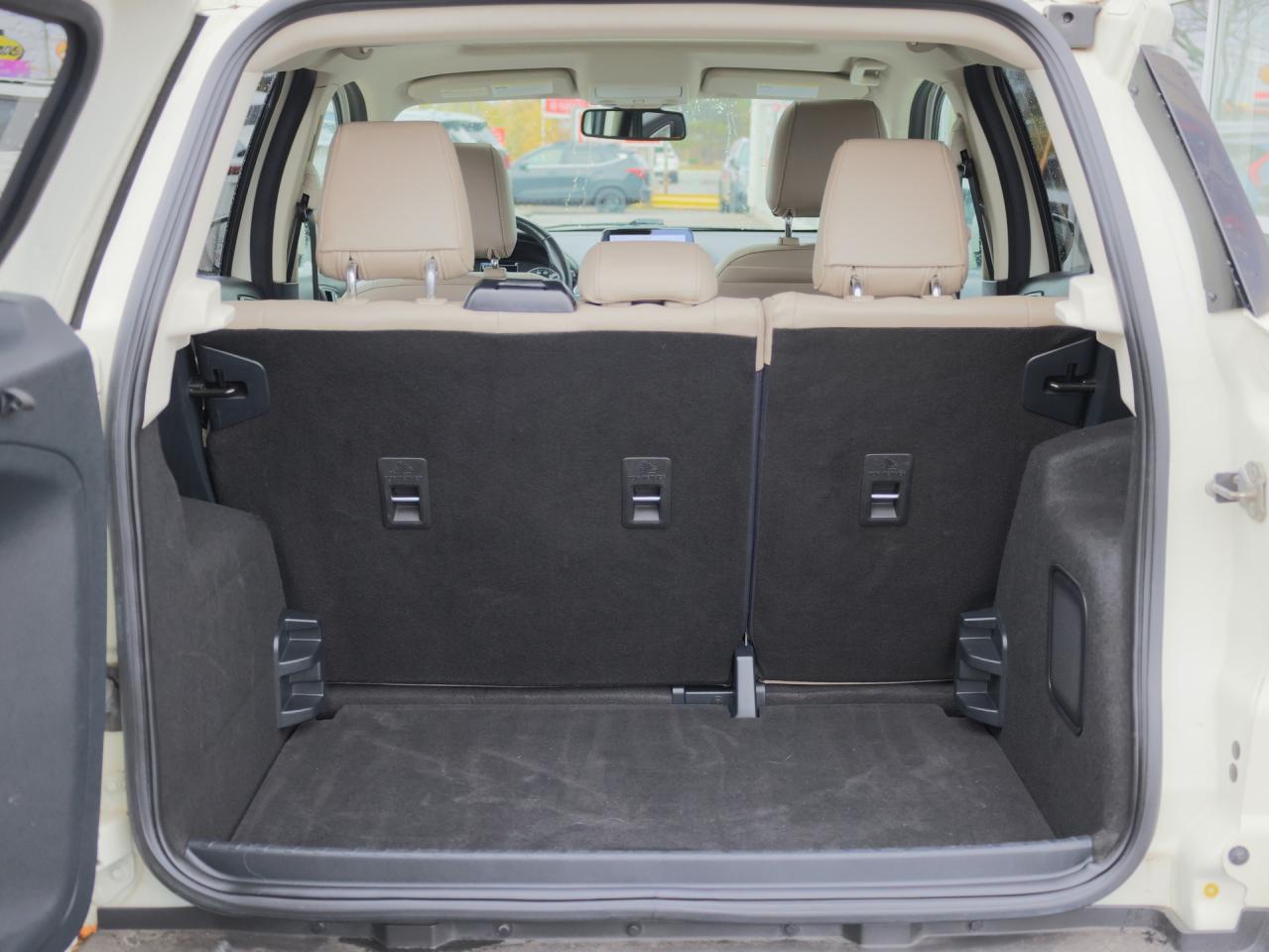 2020 Ford EcoSport Titanium AWD   Navigation   B&O Audio   Moonroof Photo