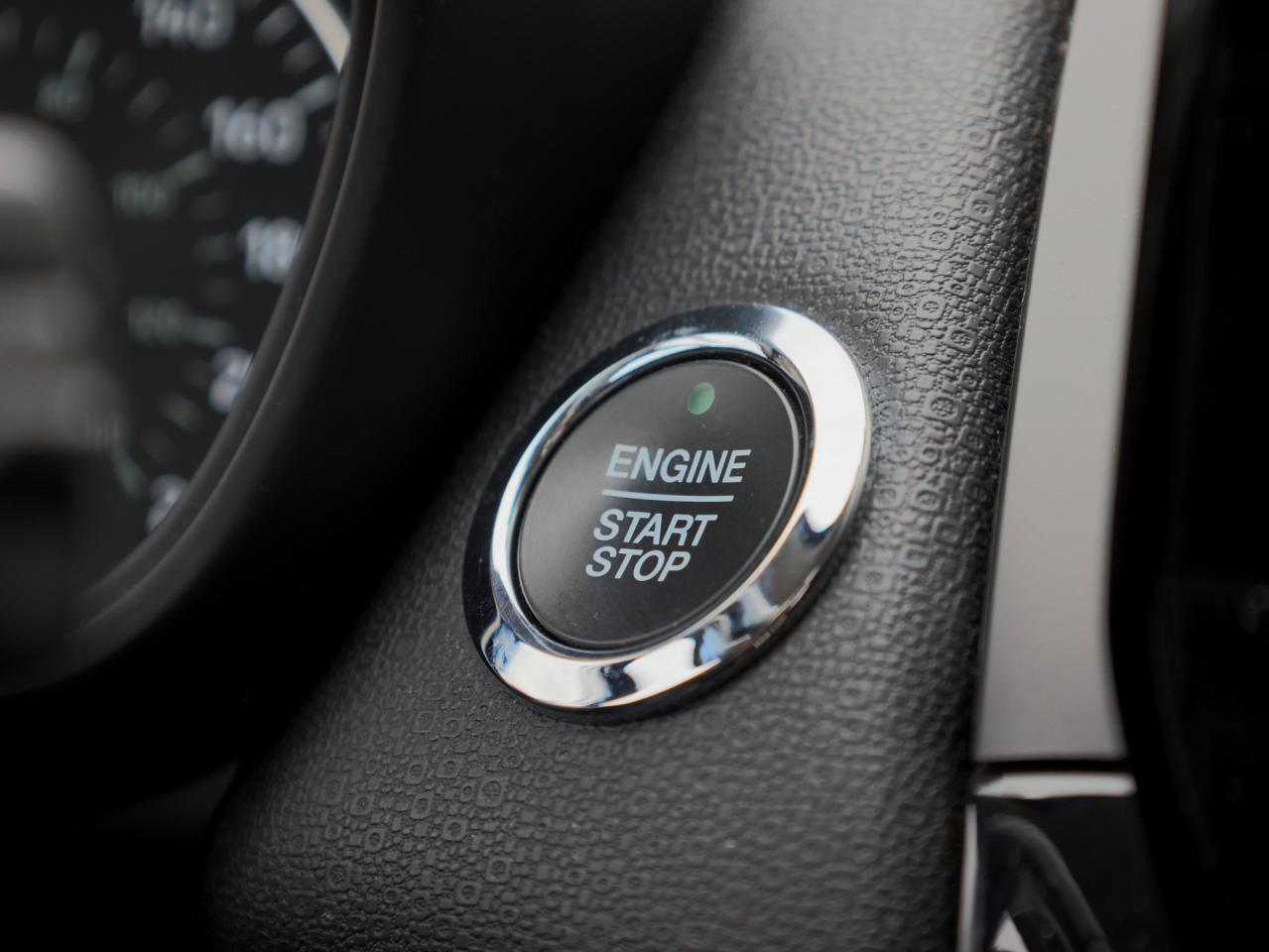 2020 Ford EcoSport Titanium AWD   Navigation   B&O Audio   Moonroof Photo