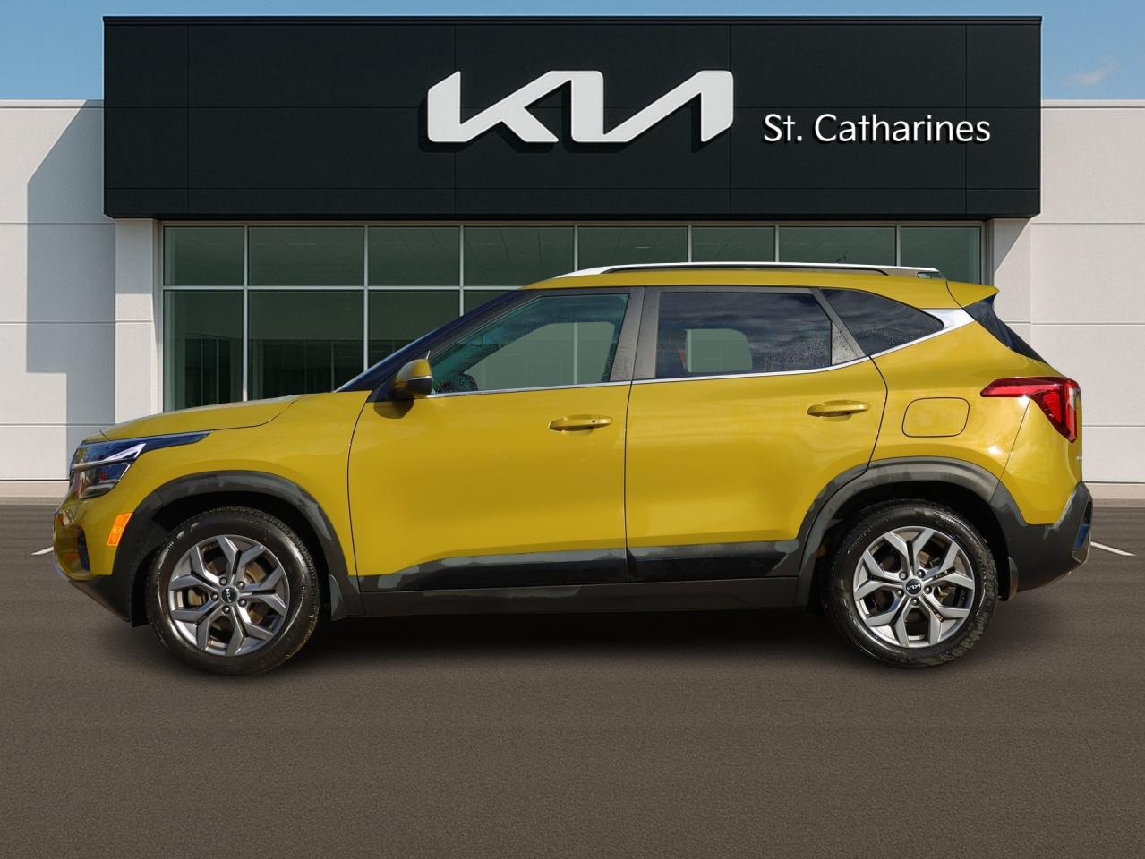 2024 Kia Seltos EX AWD   Htd Seats   Apple CarPlay   Blind Spot Photo