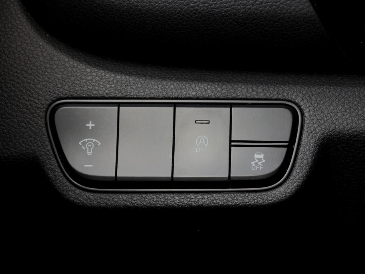 2024 Kia Seltos EX AWD   Htd Seats   Apple CarPlay   Blind Spot Photo