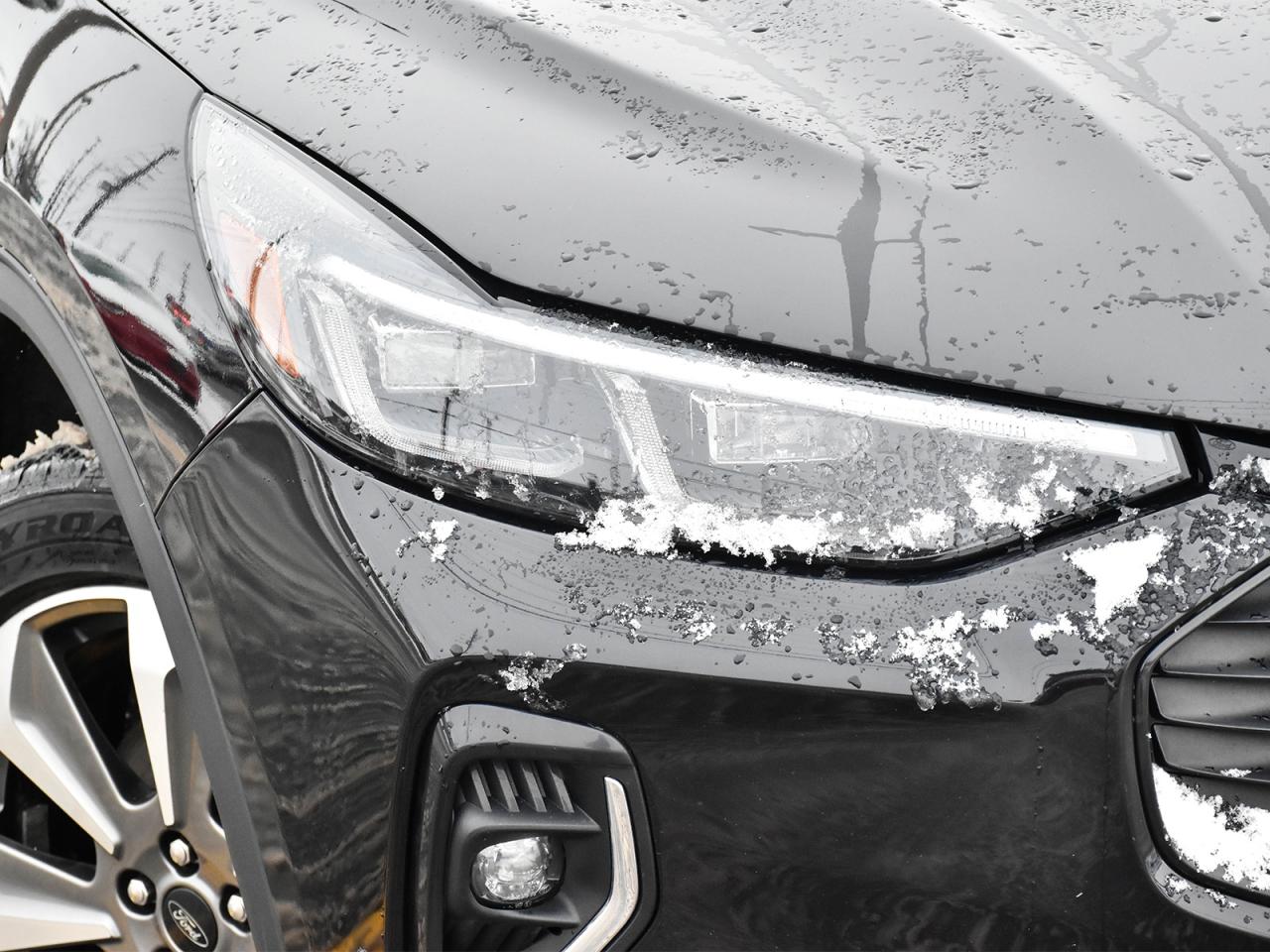 2023 Ford Escape Platinum Photo