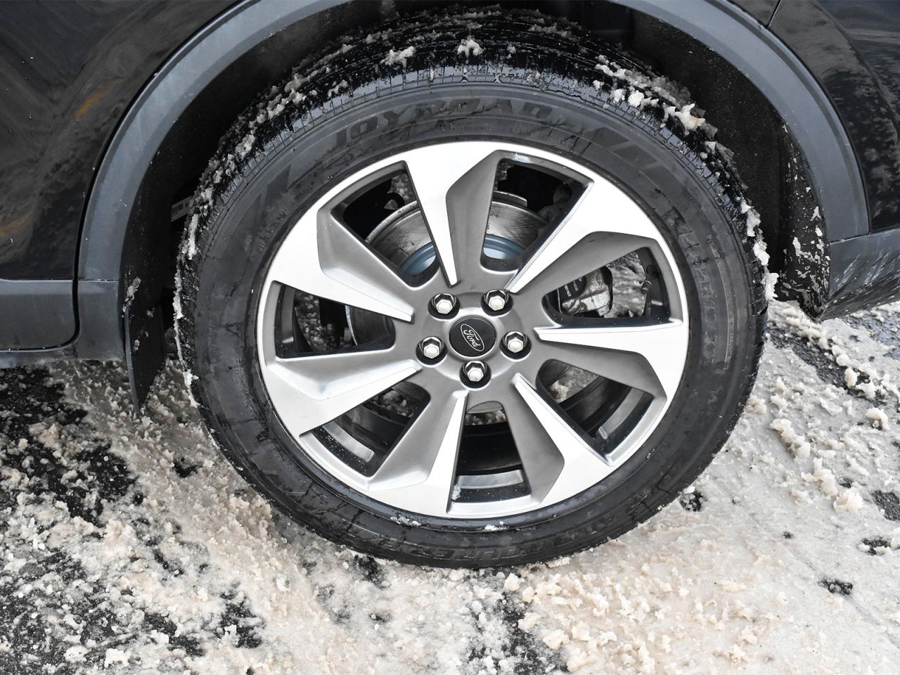 2023 Ford Escape Platinum Photo