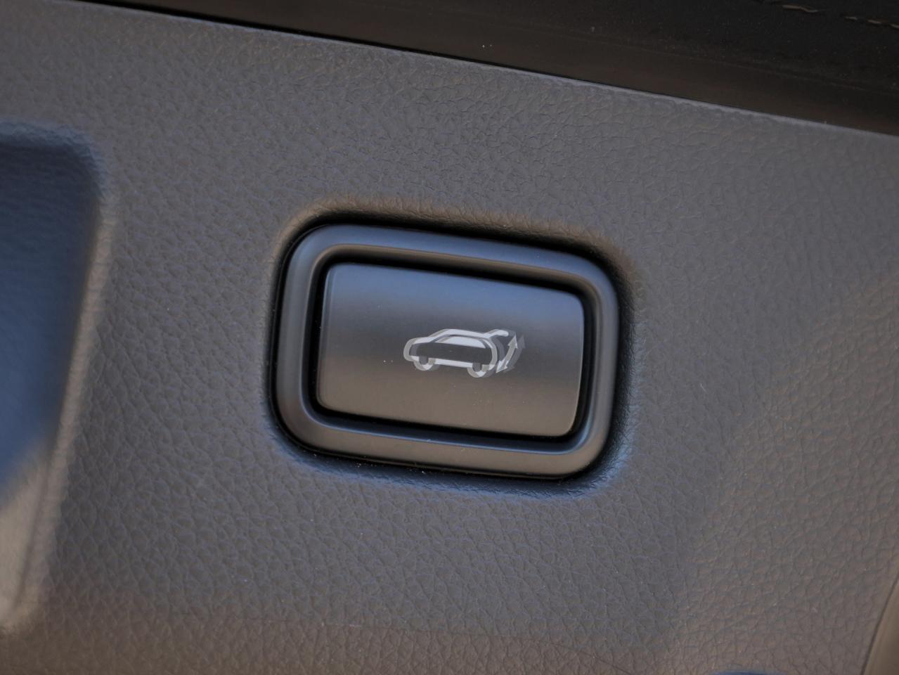 2024 Kia Seltos X-Line AWD   Leather   Navigation   Cooled Seat Photo