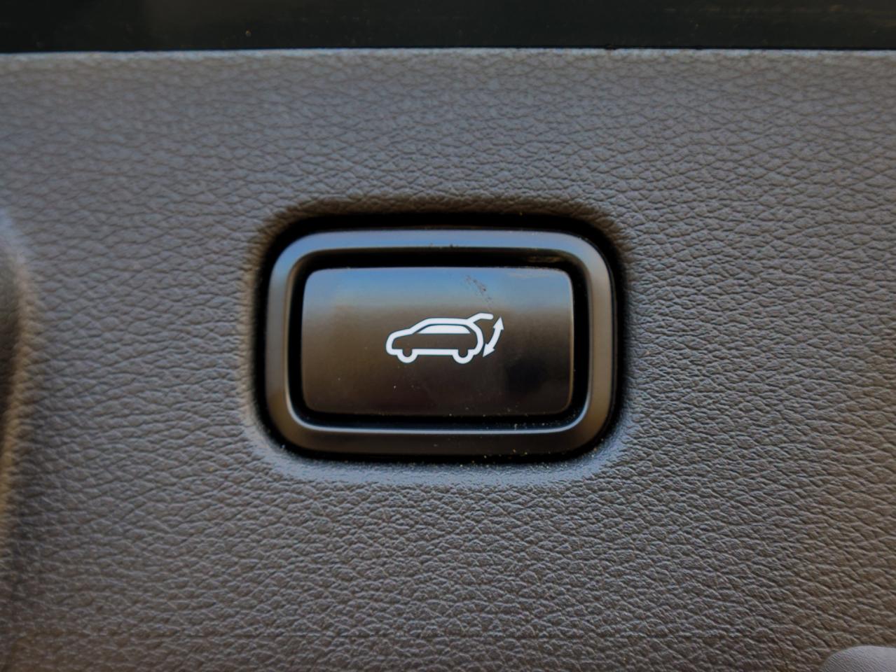 2024 Kia Sportage EX Premium   Pwr Liftgate   Cooled & Memory Seat Photo