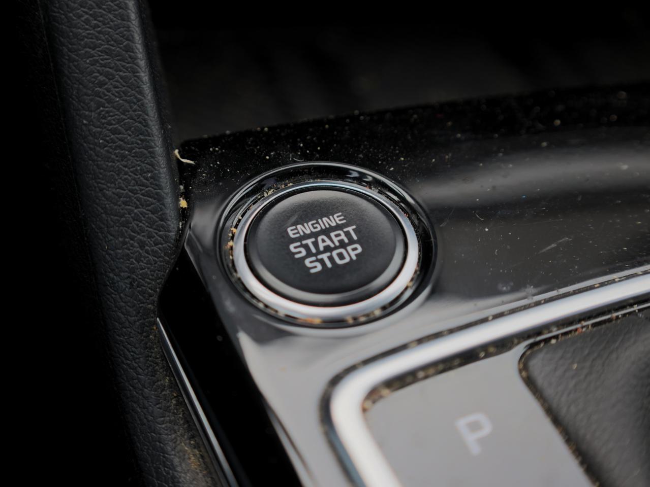 2024 Kia Sportage EX Premium   Pwr Liftgate   Cooled & Memory Seat Photo