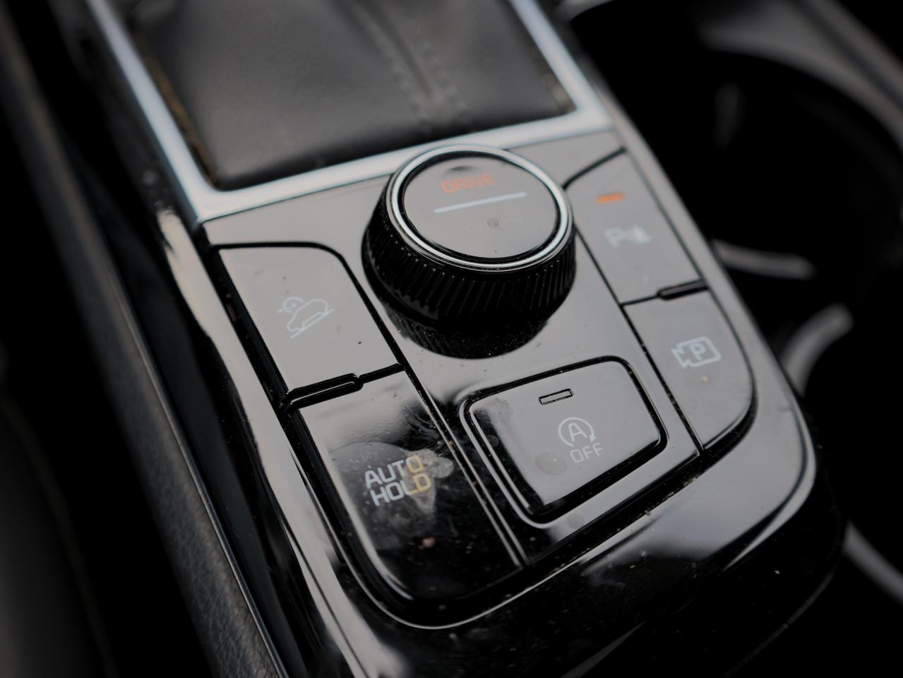 2024 Kia Sportage EX Premium   Pwr Liftgate   Cooled & Memory Seat Photo