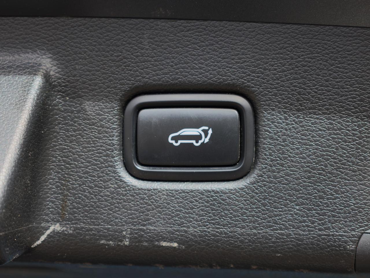 2020 Kia Telluride SX Limited   Nappa Leather   HUD   Cooled Seat Photo