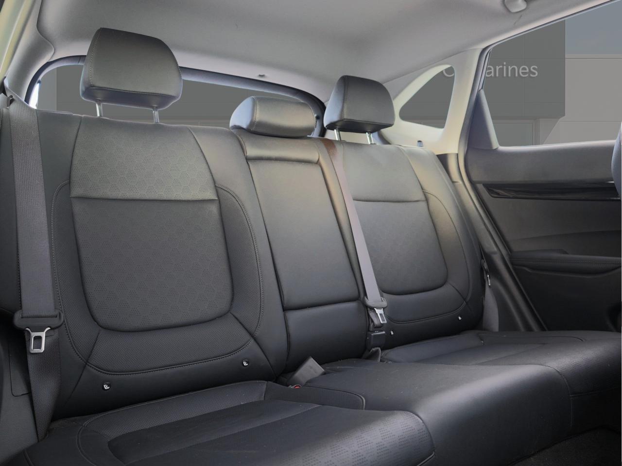 2023 Kia Seltos EX Premium   Navigation   Smart Cruise   Cool Seat Photo