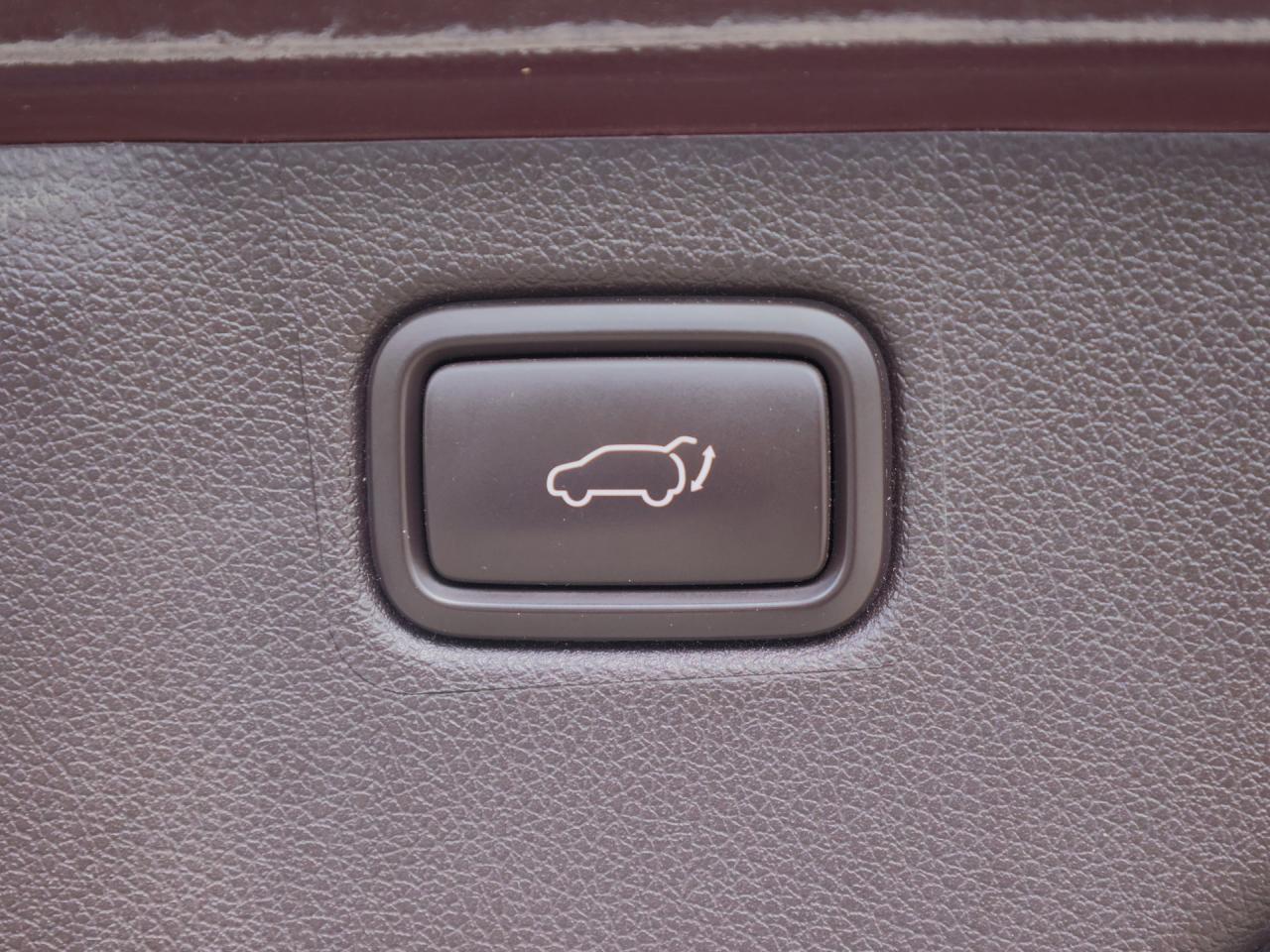 2018 Kia Sedona SXL+   Nappa Leather   Navigation   Cooled Seat Photo