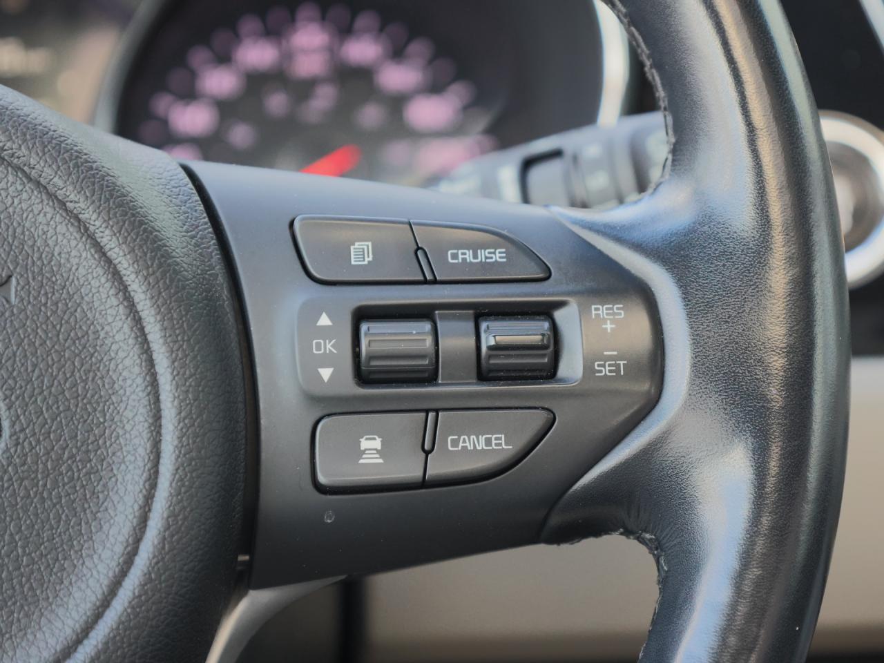 2018 Kia Sedona SXL+   Nappa Leather   Navigation   Cooled Seat Photo