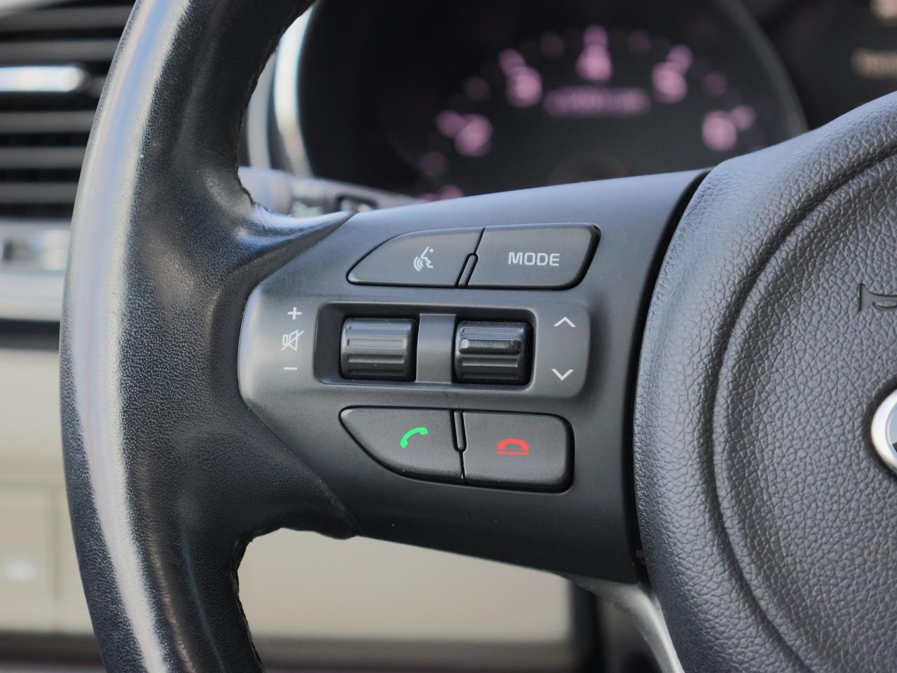 2018 Kia Sedona SXL+   Nappa Leather   Navigation   Cooled Seat Photo