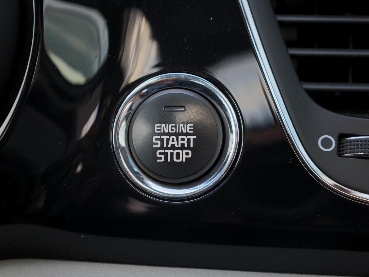 2018 Kia Sedona SXL+   Nappa Leather   Navigation   Cooled Seat Photo