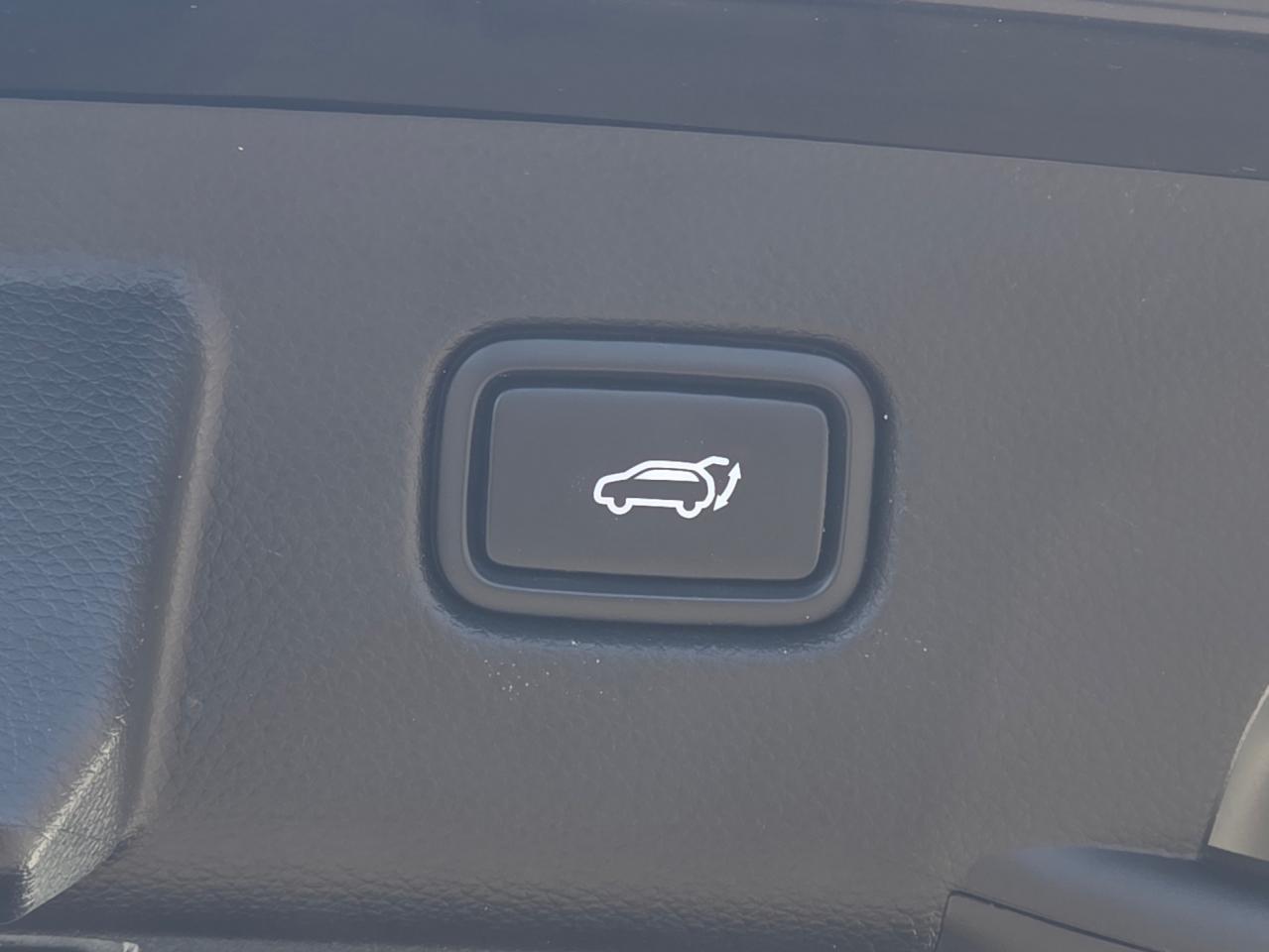 2024 Kia Seltos SX AWD   HUD   Bose   Digital Key Photo