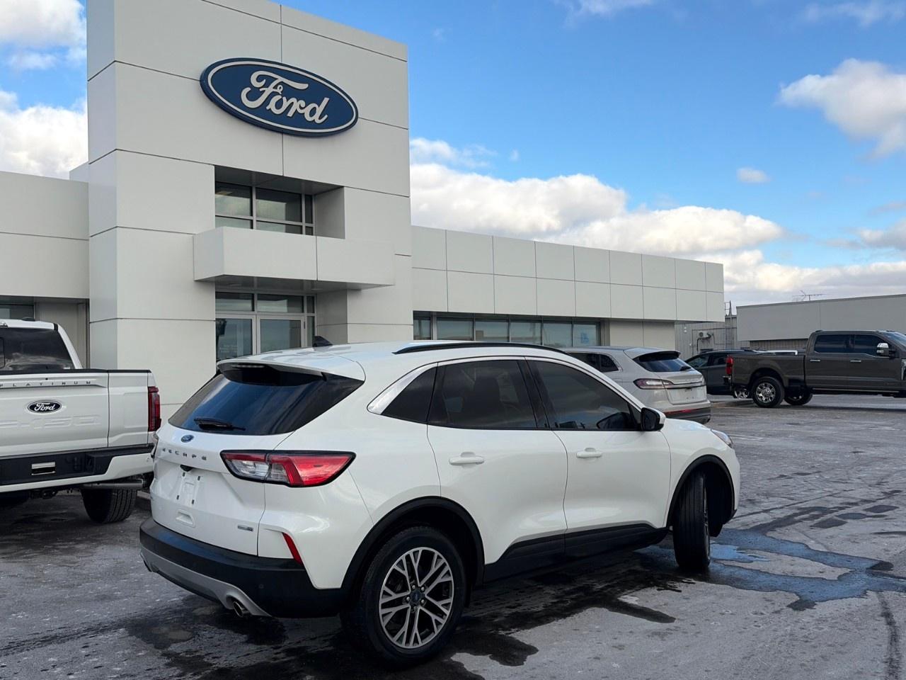 2020 Ford Escape SEL AWD Photo3
