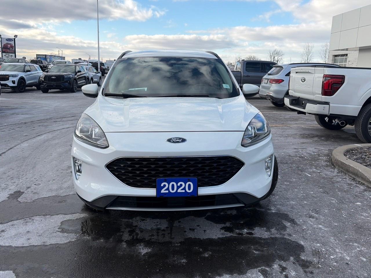 2020 Ford Escape SEL AWD Photo
