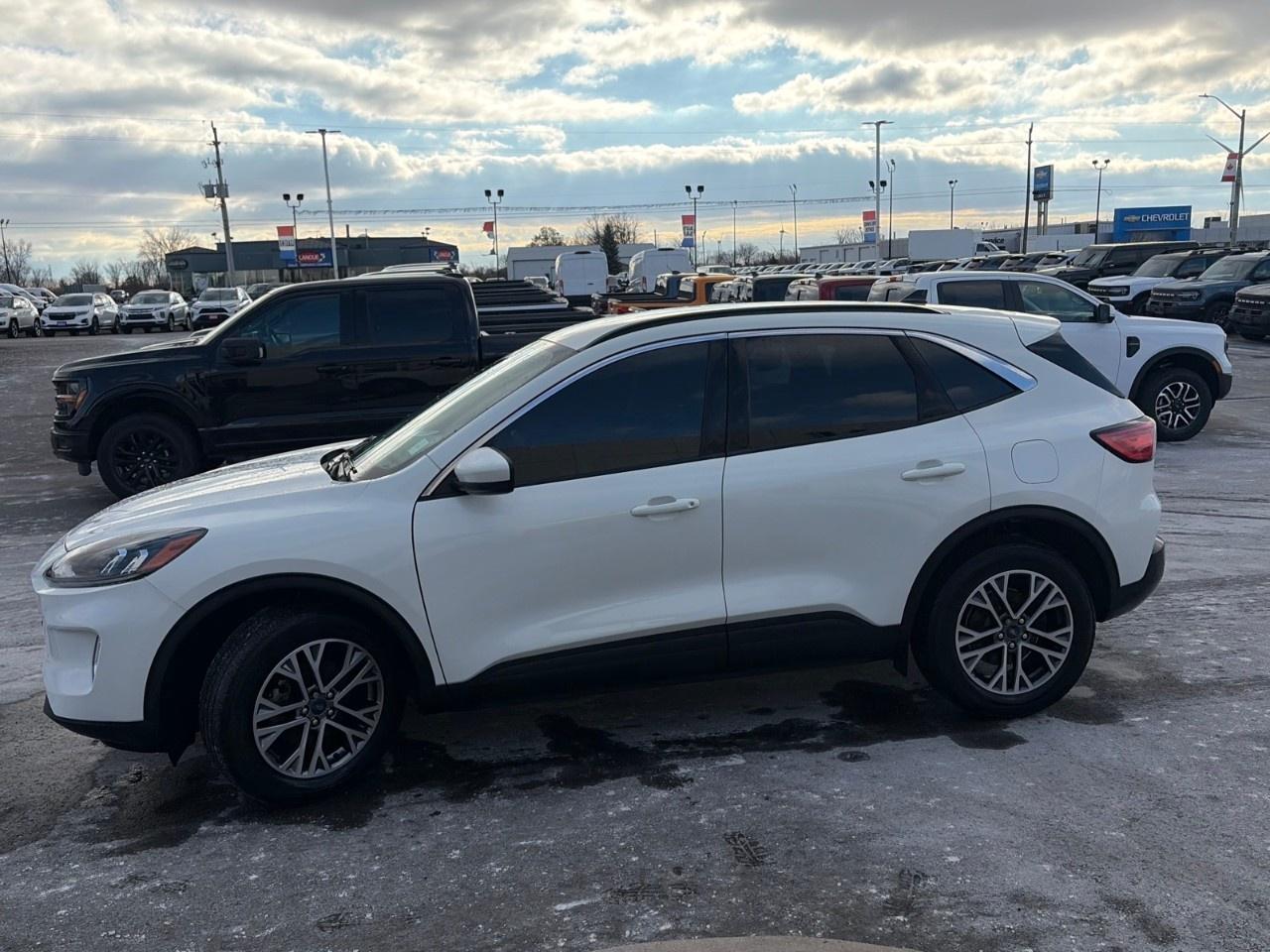 2020 Ford Escape SEL AWD Photo