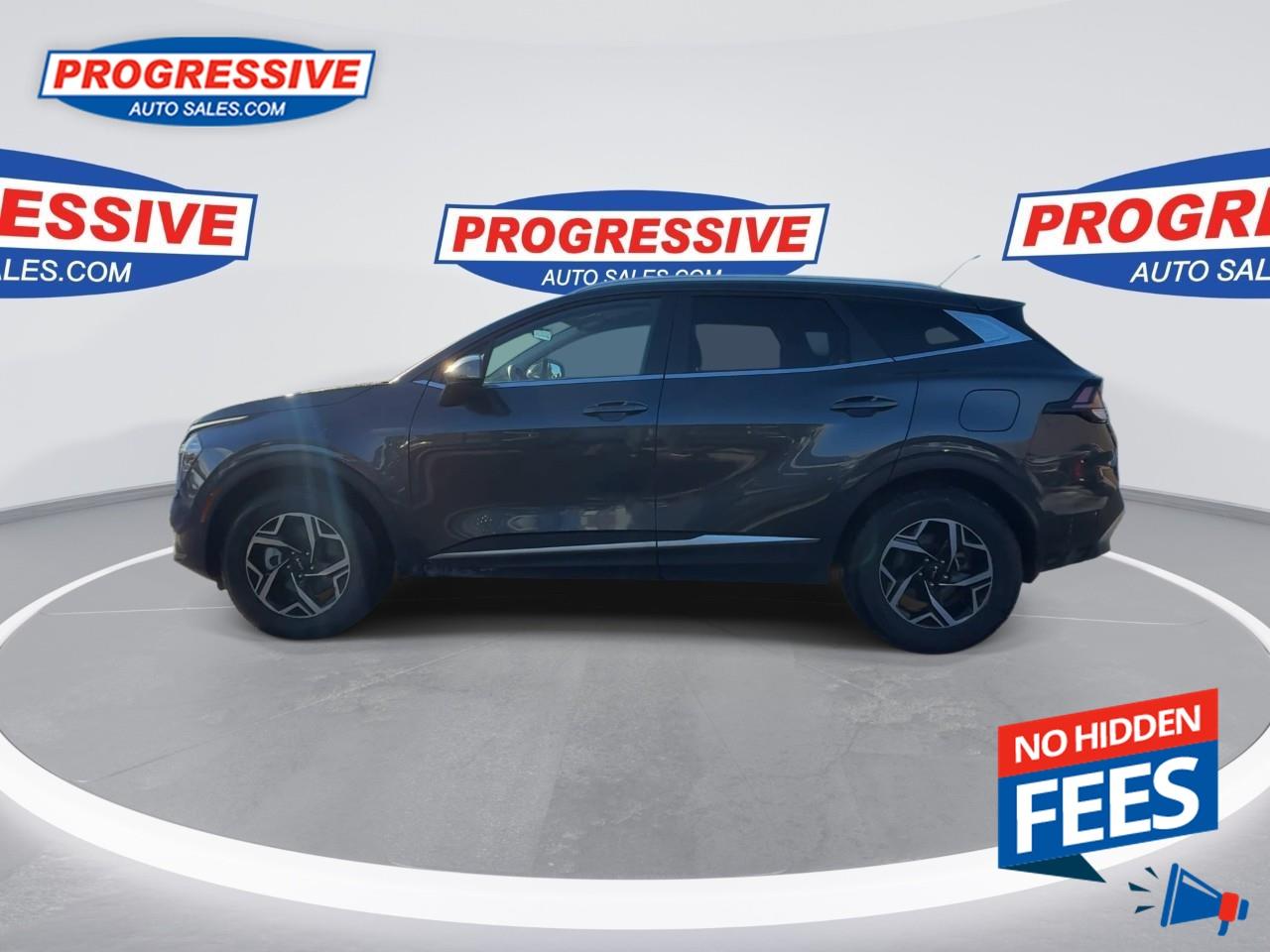 2024 Kia Sportage LX Photo