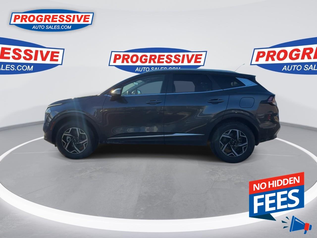 2024 Kia Sportage LX Photo