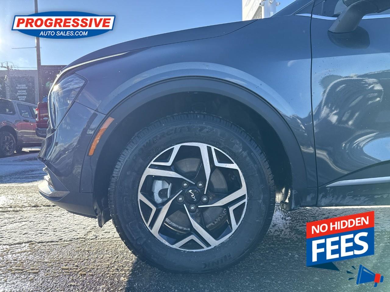 2024 Kia Sportage LX Photo