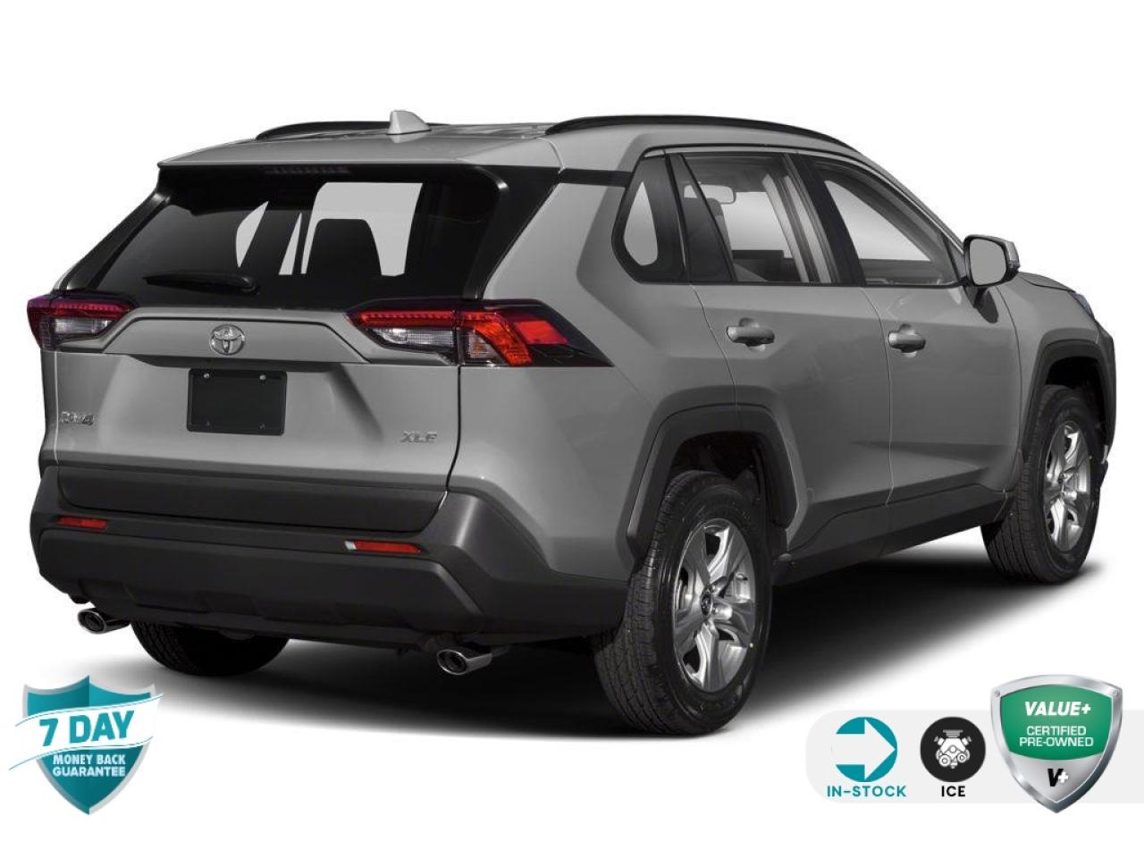 2020 Toyota RAV4 XLE LOW KM | ONE OWNER | CLEAN FARFAX Photo2